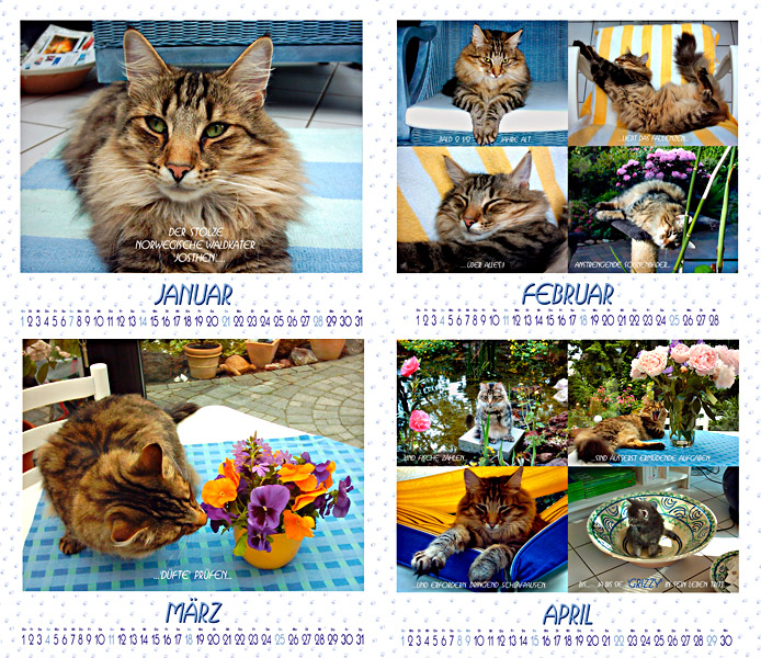 fullsize