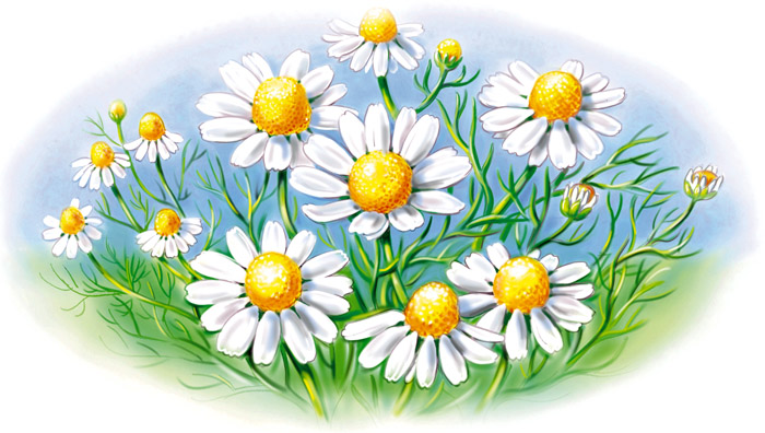 fullsize
